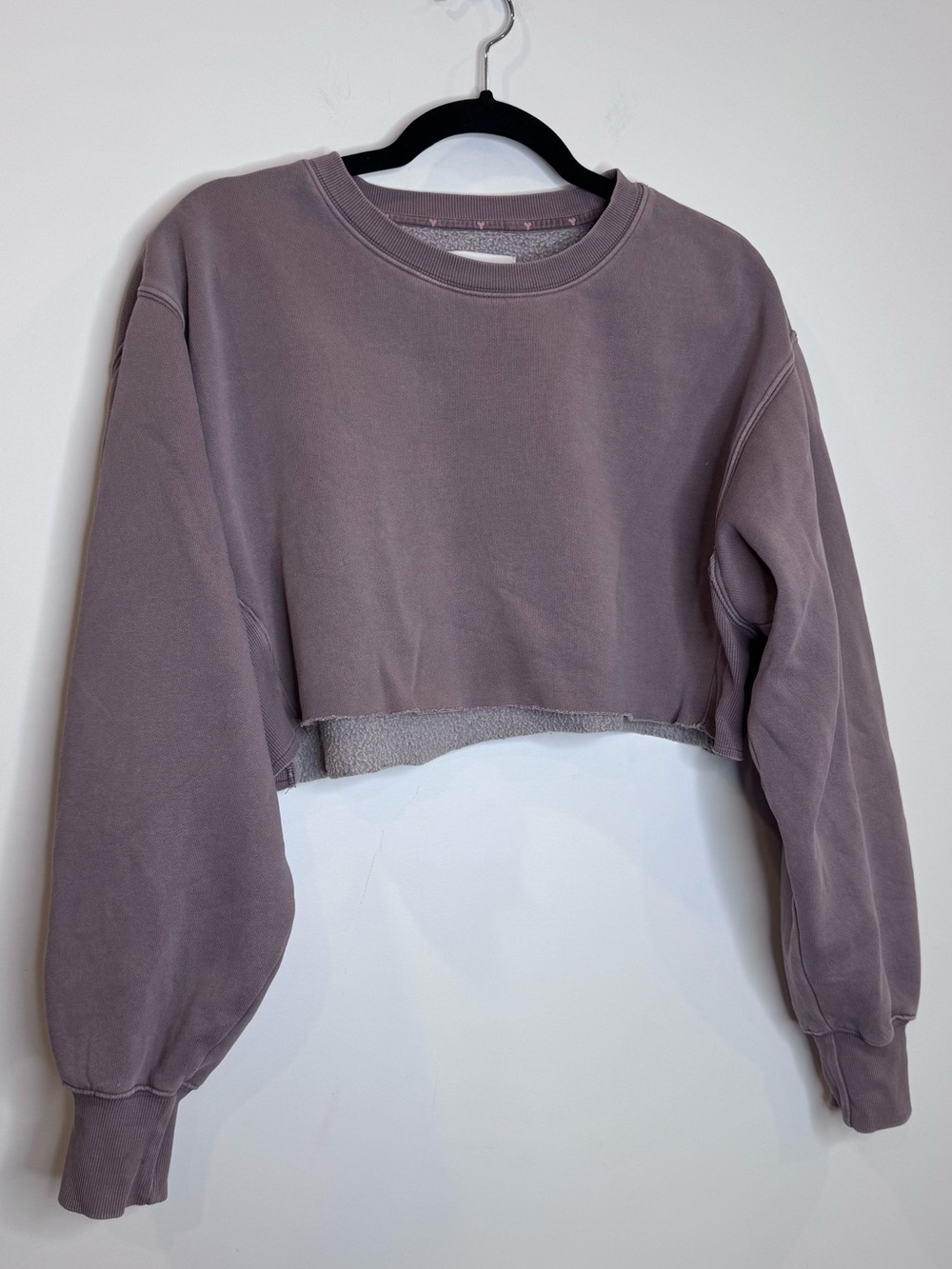 Aritzia TNA Cropped Crewneck Sweatshirt - Mauve comfy cozy top boxy fit